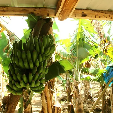 Banana Eco Camp Camping Cruz das Duas Ribeiras