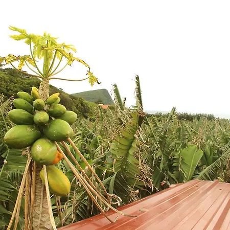 Camping Banana Eco Camp