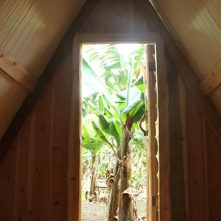 Camping Banana Eco Camp *