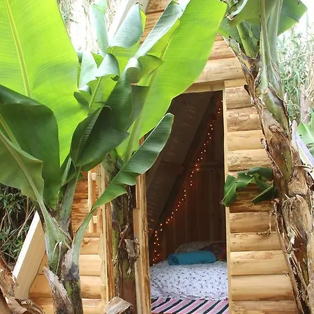Camping Banana Eco Camp *