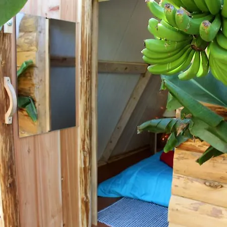 Banana Eco Camp Camping *