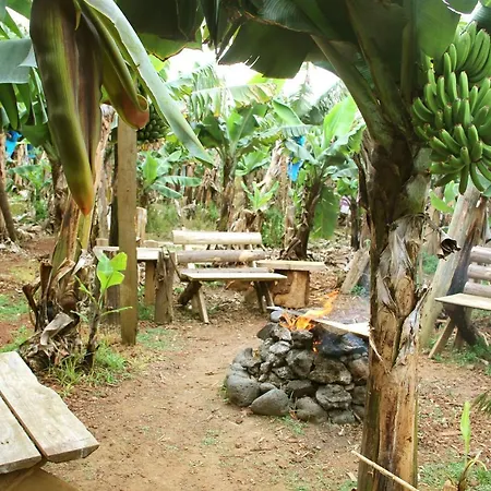 Banana Eco Camp Camping *