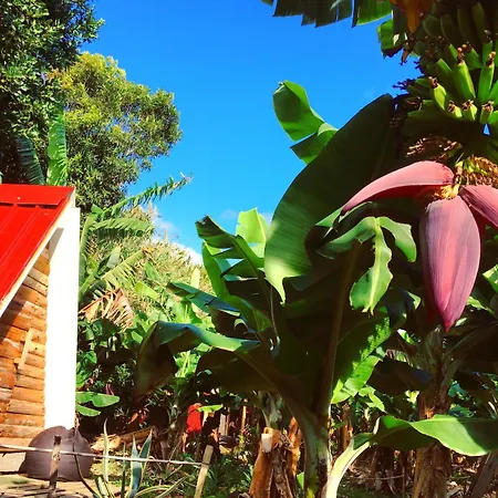 Banana Eco Camp