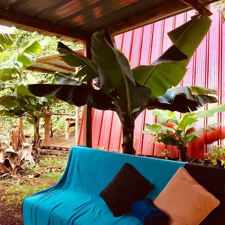 Banana Eco Camp Cruz das Duas Ribeiras