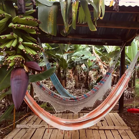 Banana Eco Camp Camping *