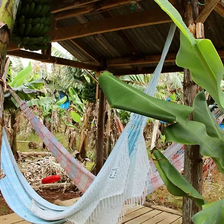 Banana Eco Camp *