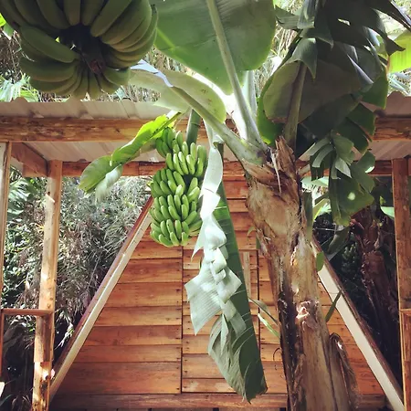 Camping Banana Eco Camp Cruz das Duas Ribeiras