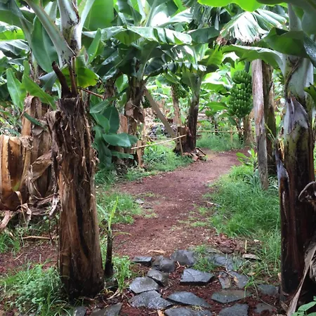Banana Eco Camp Cruz das Duas Ribeiras