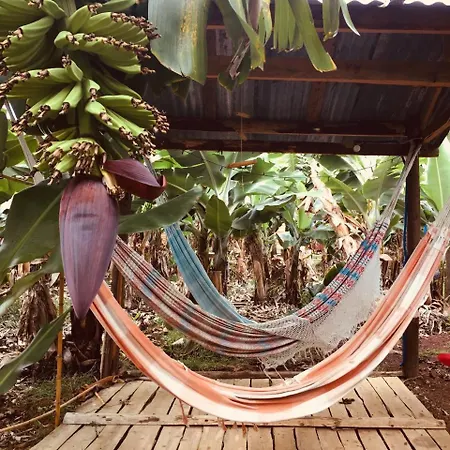 Banana Eco Camp *